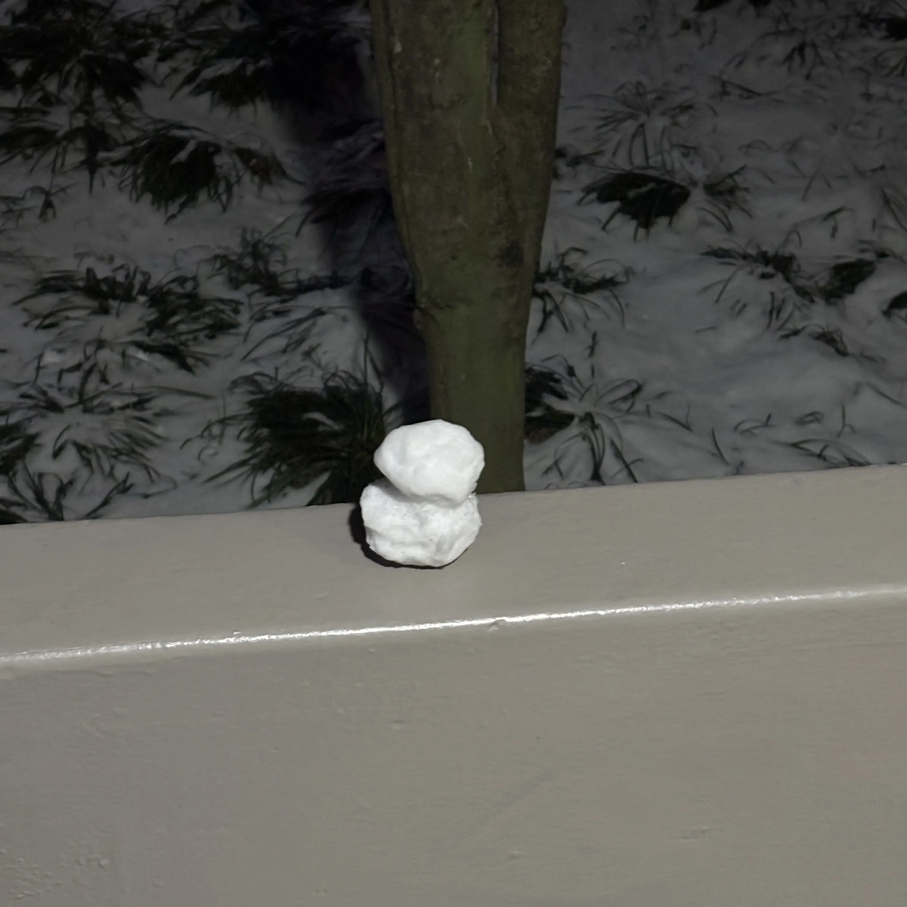 SassyBeat9182의 서라더