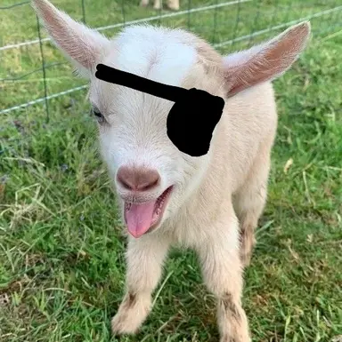 Profile image of 백사헌