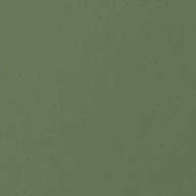 Profile image of 백사헌