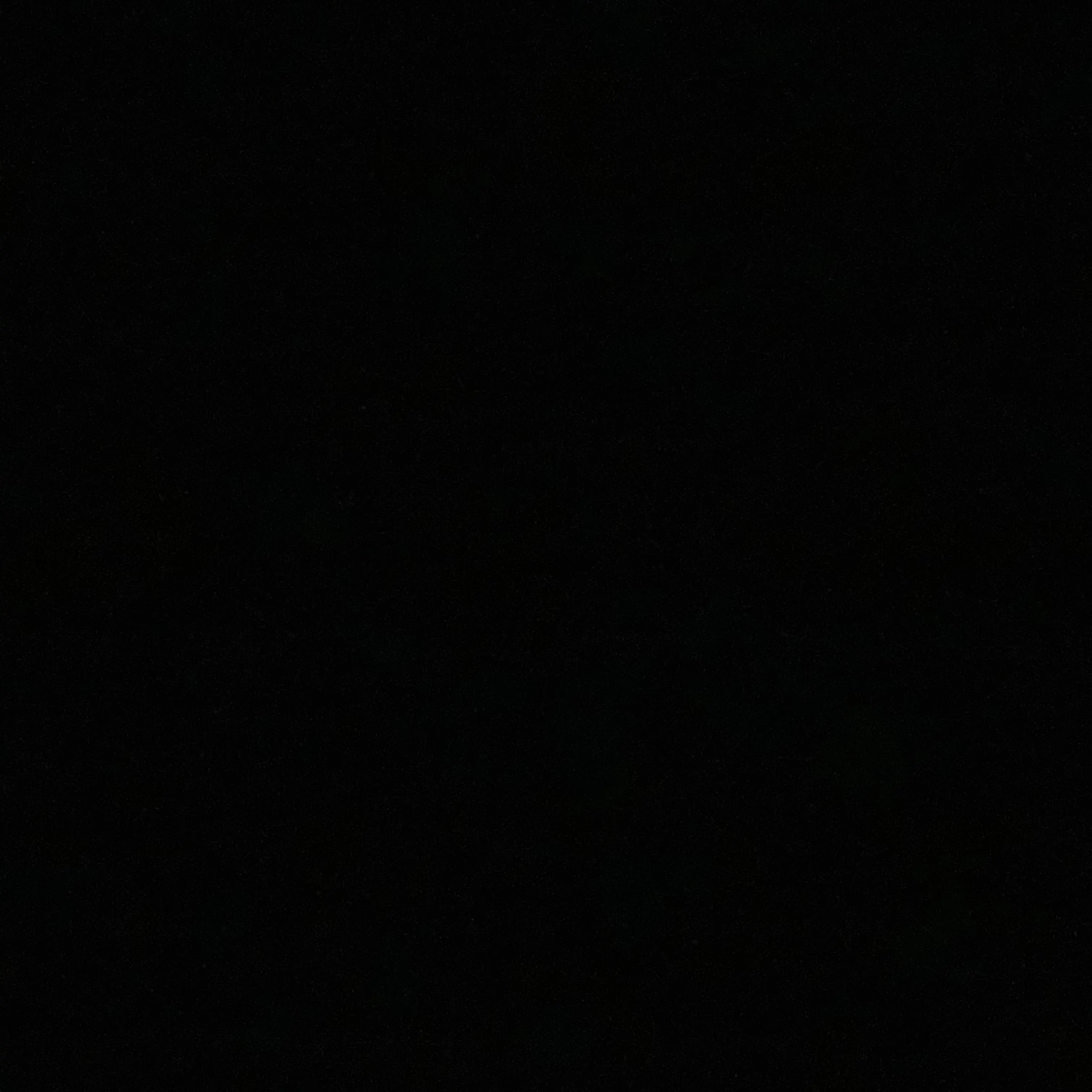 YVW의 테러리스트