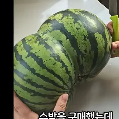 Profile image of 늑대
