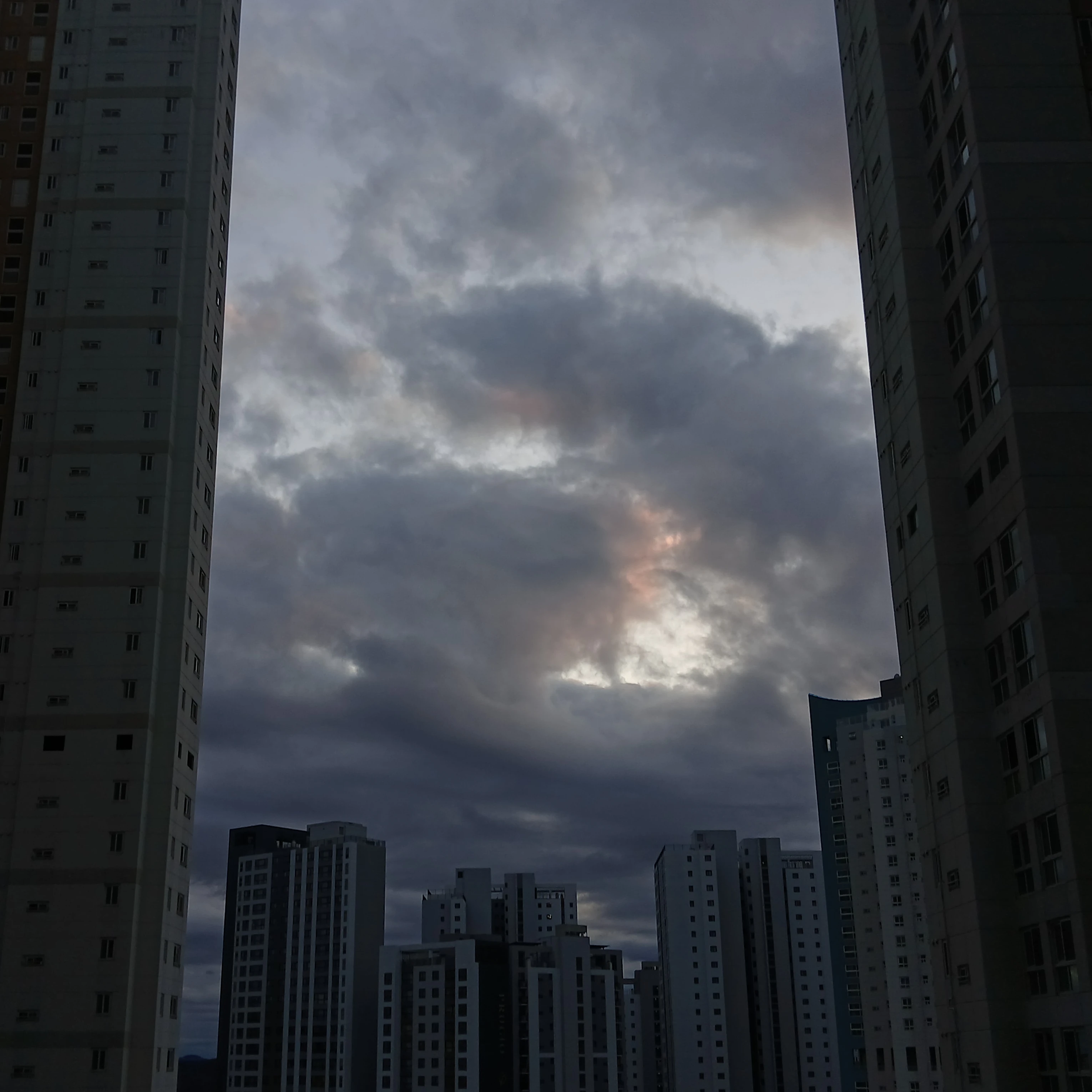 라파엘
