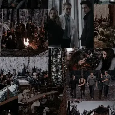 Profile image of The Cullens