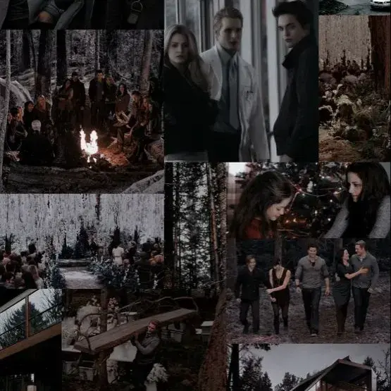 MurkyCoat5681의 The Cullens