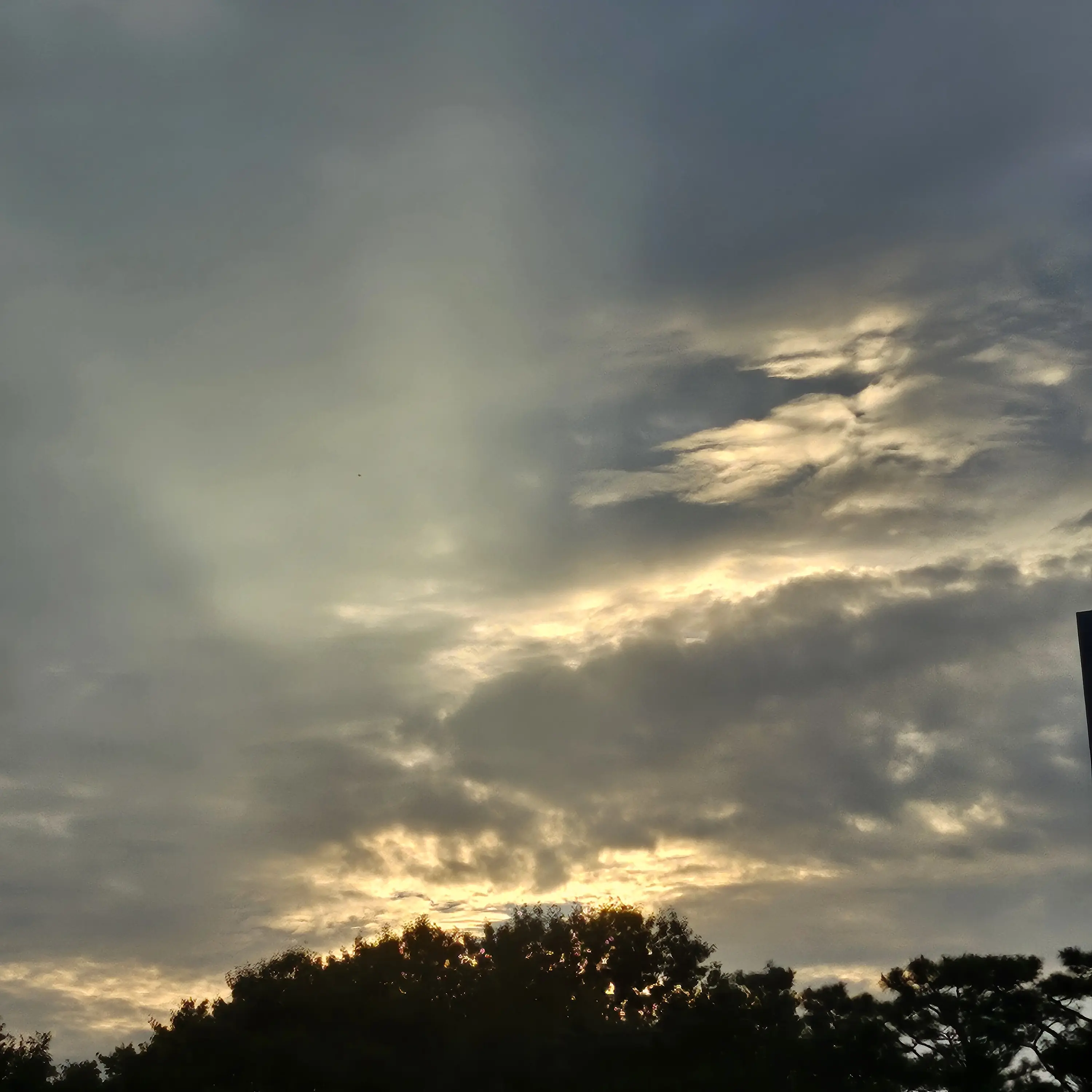 KBoSu5233의 알고 싶은 사이