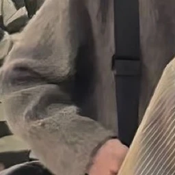 정성찬
