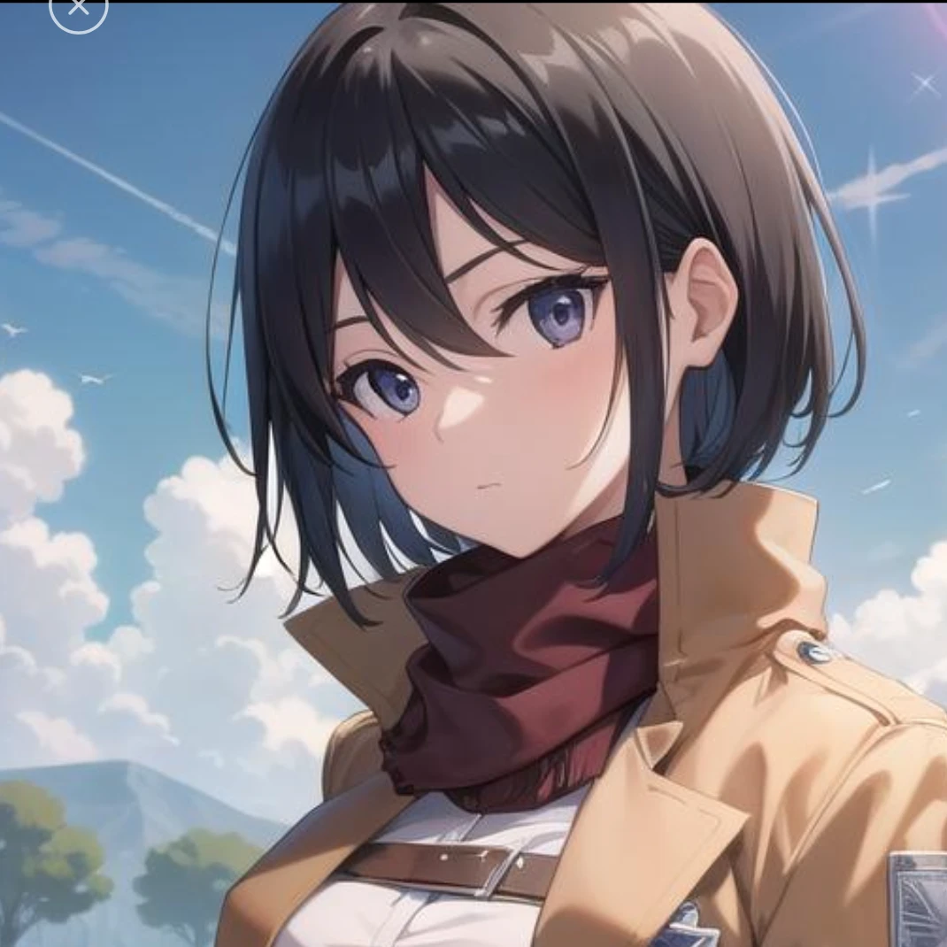 ミカサ