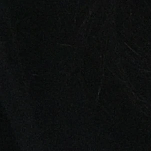 이진오