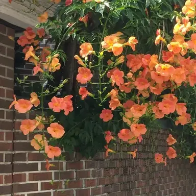 Profile image of 박덕개