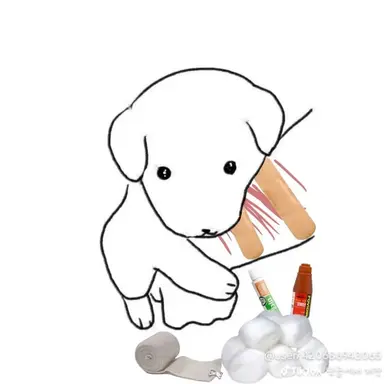 Profile image of 자몽살구클럽