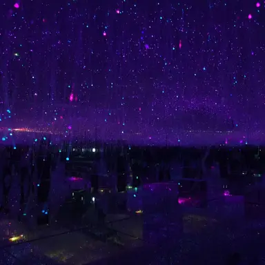 Profile image of 주해랑