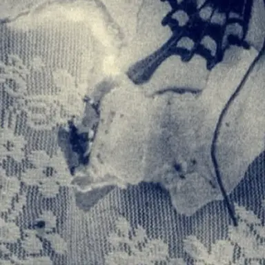 Profile image of れん