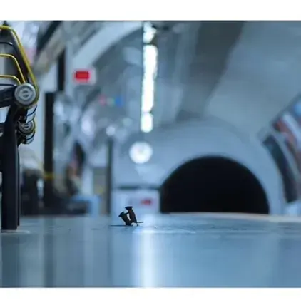 UniqueBread6469의 I Want Maya Back