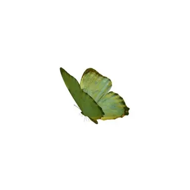 Profile image of 璃空
