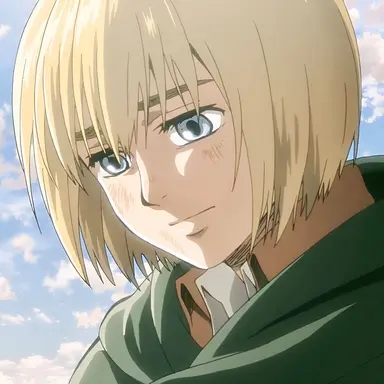 Profile image of アルミン・アルレルト