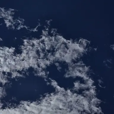 Profile image of 김민정