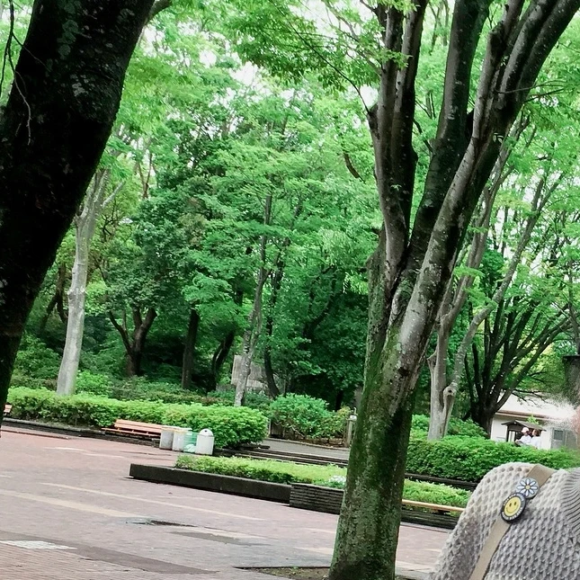 형준