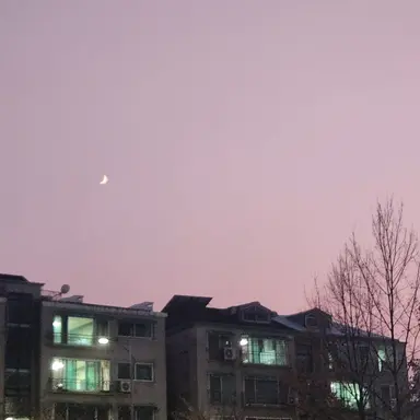 Profile image of 권지용