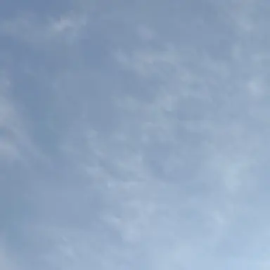 Profile image of ひな