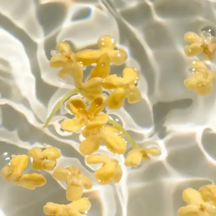 Kuv1103의 覚えてないなんて、嘘だよね…？