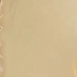 Profile image of 로저