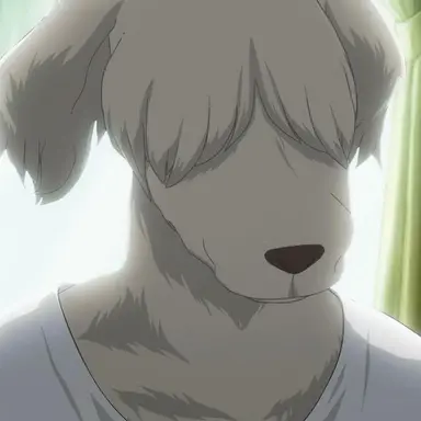 Profile image of Collot