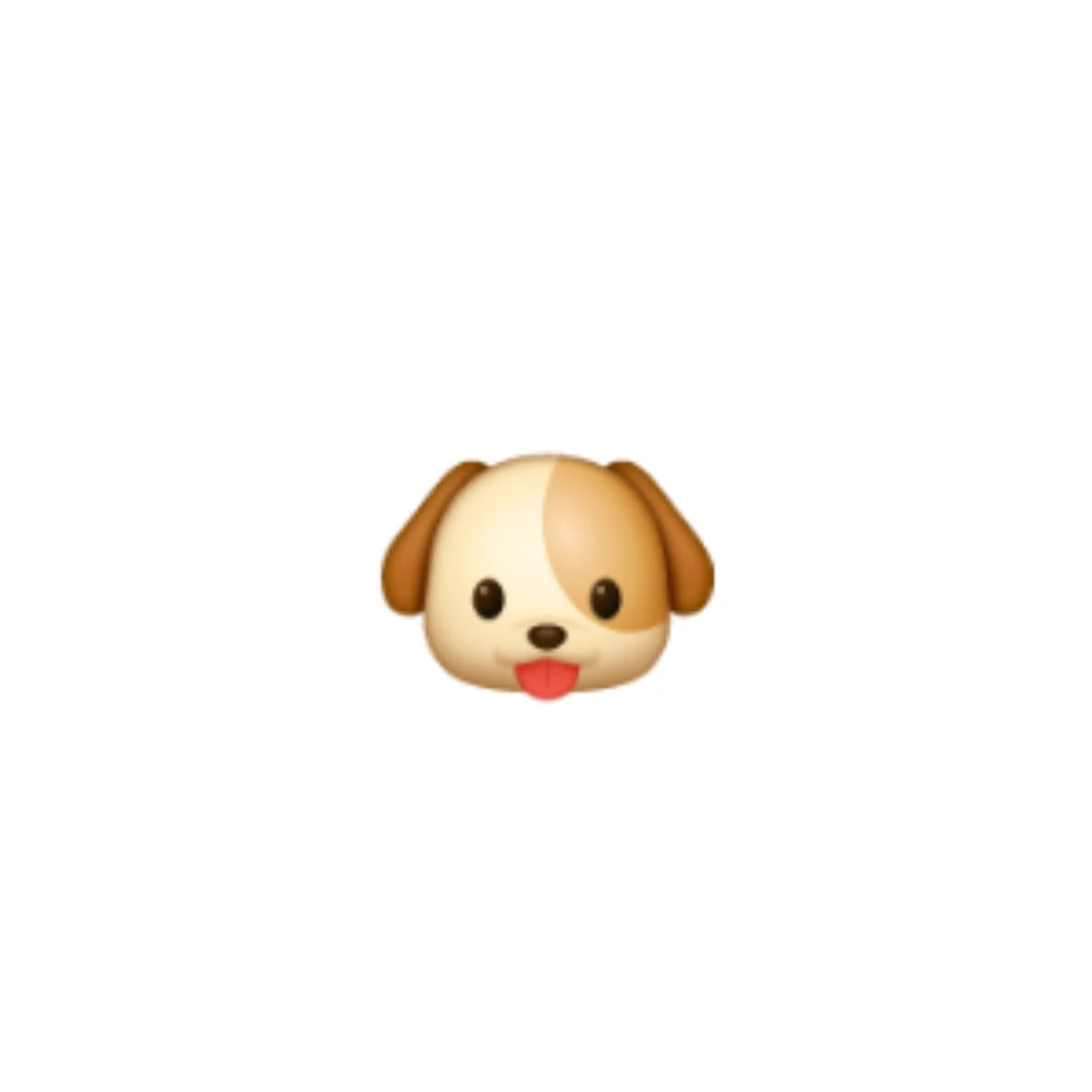 ㅅㅈㅇ