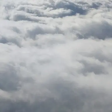 Profile image of 일진무리