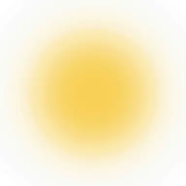 Profile image of Yellow Team