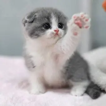 Profile image of 평학