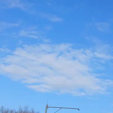 Profile image of 박잠뜰