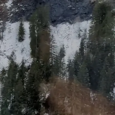 Profile image of 박덕개