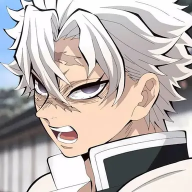 Profile image of 시나즈가와 사네미