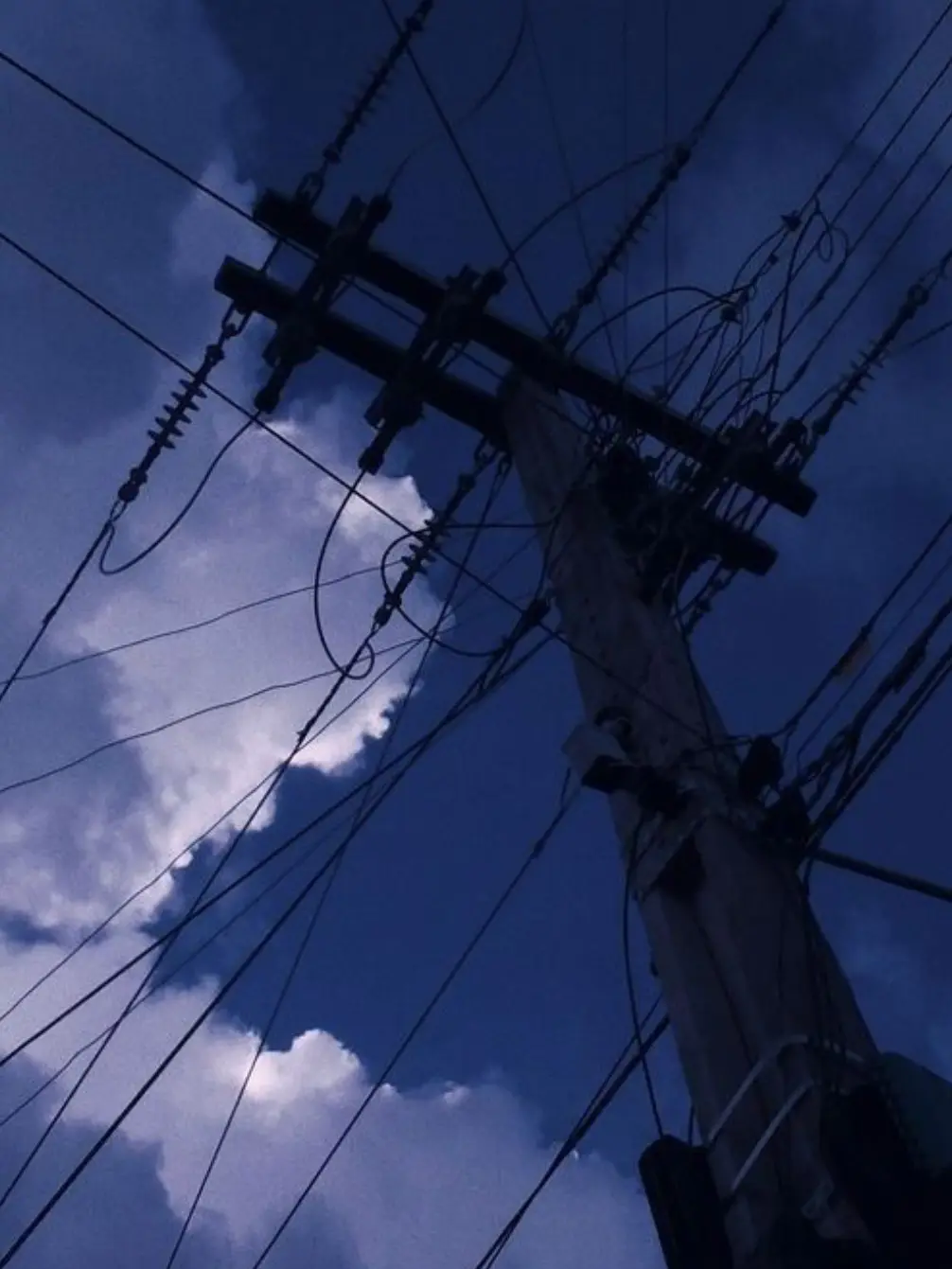 knt_hbr_zeffiro의 捕獲