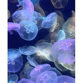 Profile image of 유서진