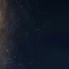 HumbleTail1993의 Les Femmes