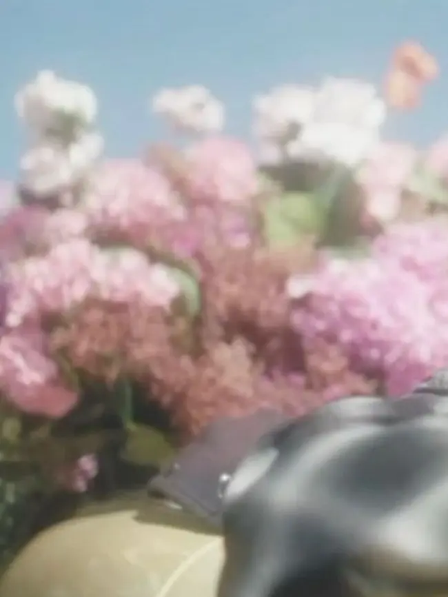 sa.mga의 強く誓う愛みたい
