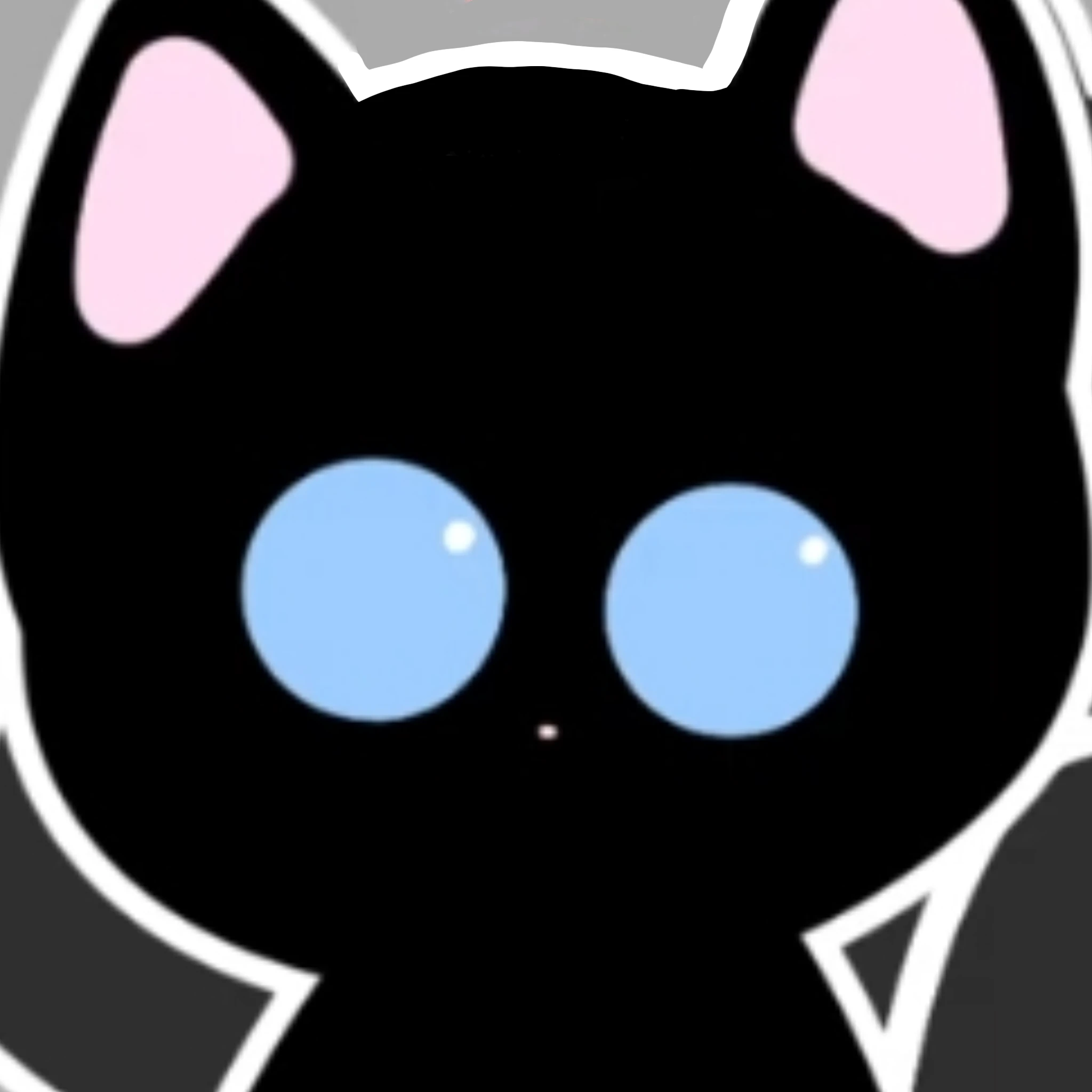 블랙