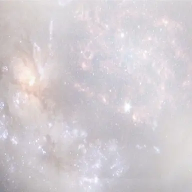 Profile image of 다니엘