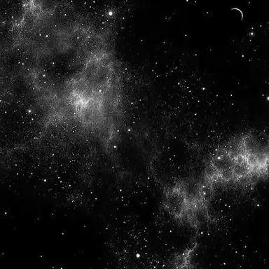 Profile image of 세베르