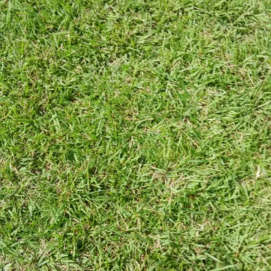 Profile image of A반