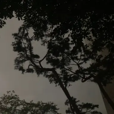 Profile image of 김민정