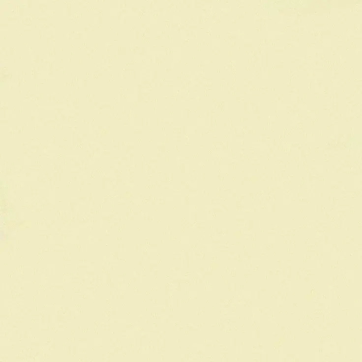 55555_love의 스트리머로 살아남기