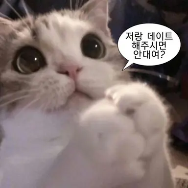 Profile image of 마리