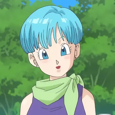 Profile image of Bulma