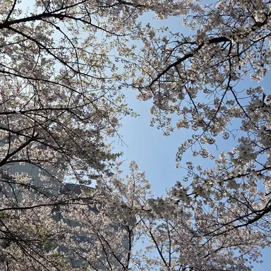 Profile image of 구두리