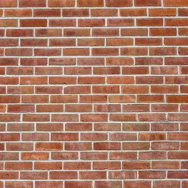 Profile image of Wall