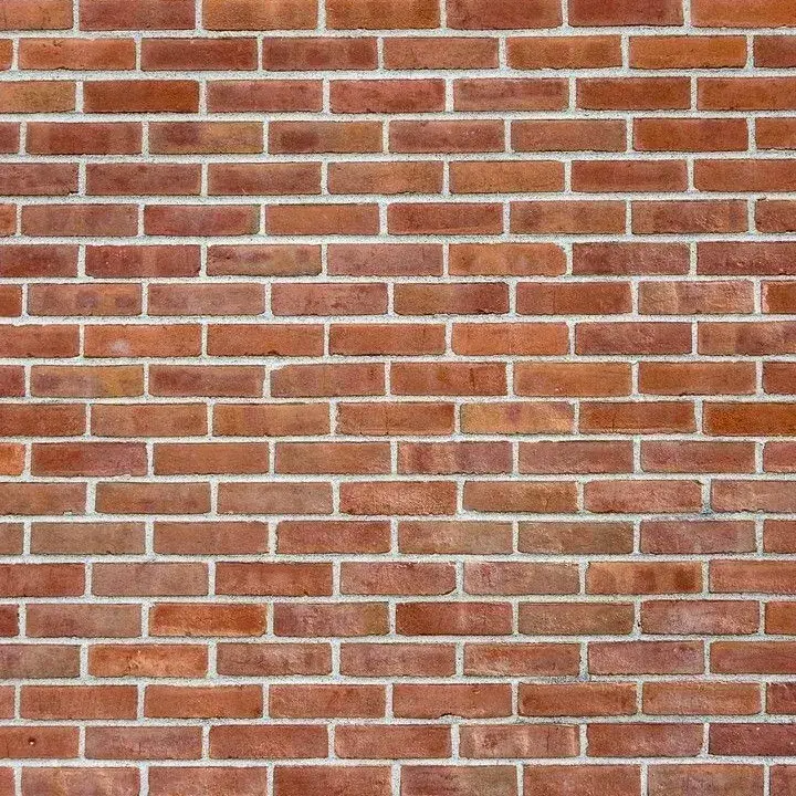 WaryNiece8183의 Wall