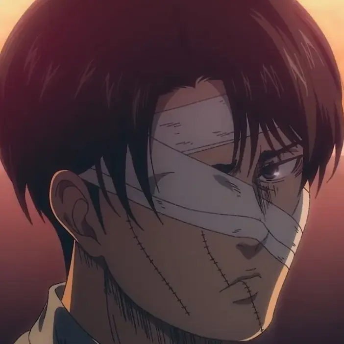 Levi_Gojo의 리바이 아커만