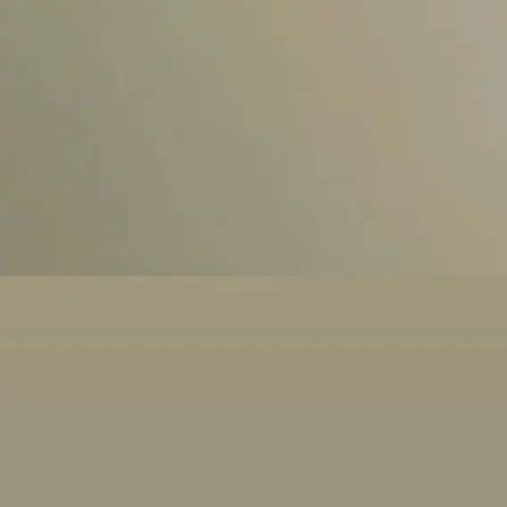 oo_yoyo의 いんきゃ